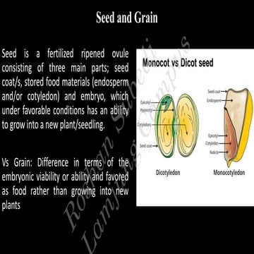 Seed and Sowing