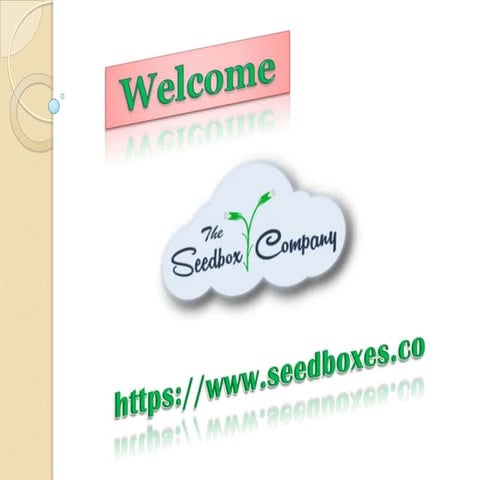 Seed box | PPTX