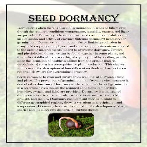 Seed dormancy