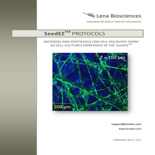 SeedEZ 3D cell culture methods and protocols - cell seeding | PDF