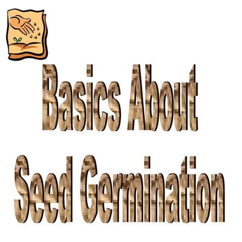 Seed Germination Notes
