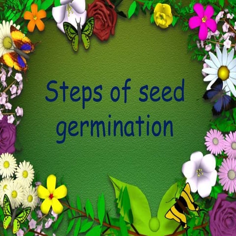 Seed germination process