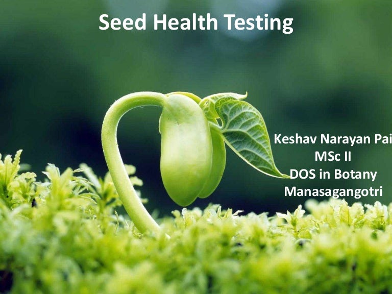 Seed health testing