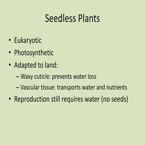 Seedless plants BIO II Slides
