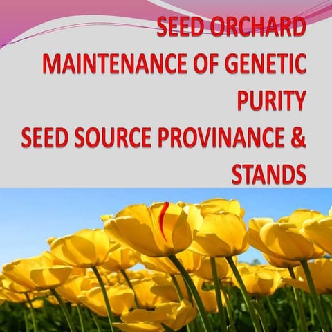 Seed orchard