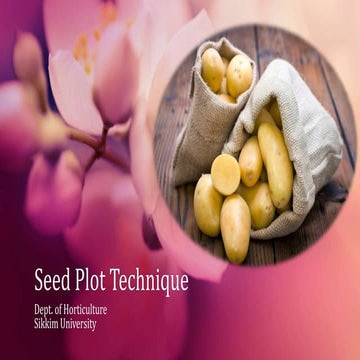 Seed plot technique in Potato | PPTX