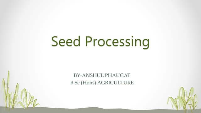 Seed processing and it's steps