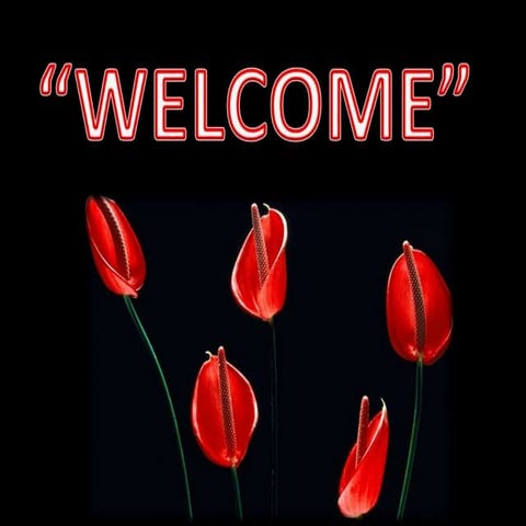 Seed production-maize