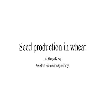 Seed production in wheat hybrid seed and others