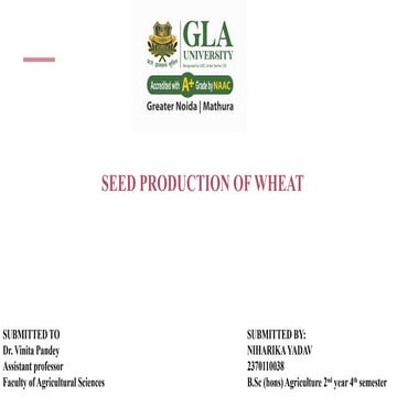 SEED PRODUCTION  technology OF WHEAT.pptx