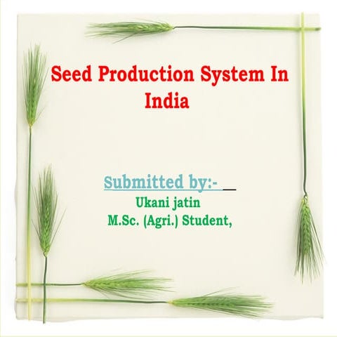 Seed production system in india