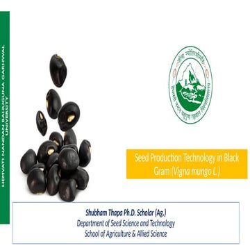 Rouging, Different stages of rouging, Harvesting, Threshing and Seed ...