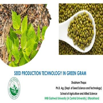 Seed Production Technology in Green Gram.pptx