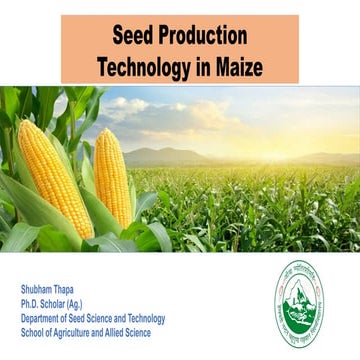 Seed Production Technology in Maize.pptx