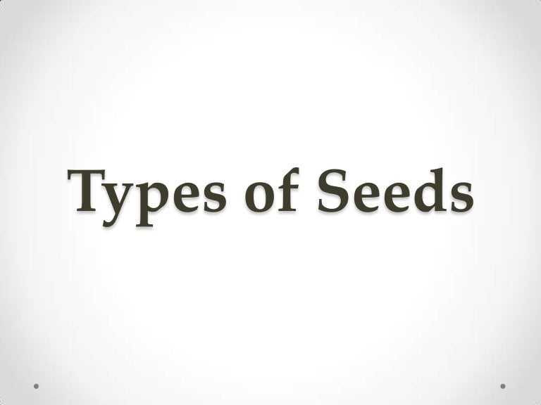Types of Seeds