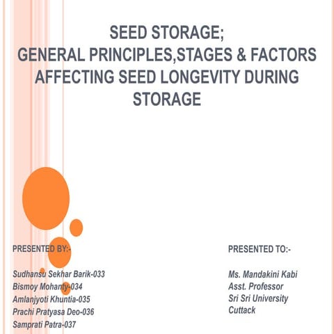 Seed storage
