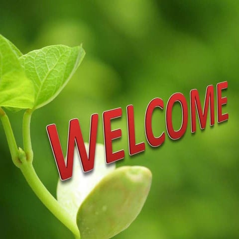 Seed structure and development