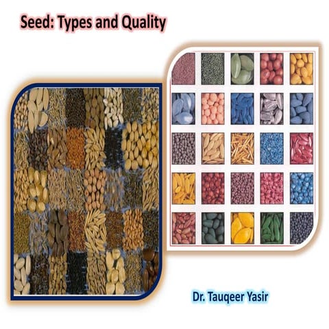 Seed, Seed Types and Seed Quality