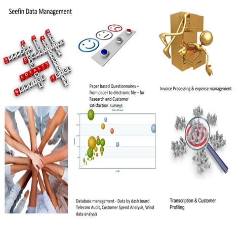 Seefin Dm In A Single Slide