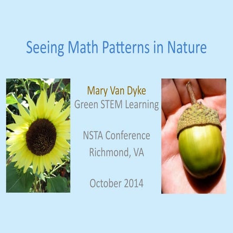 Seeing Math Patterns in Nature | PDF
