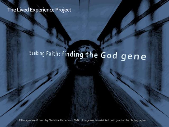 Seeking Faith  Finding The God Gene...