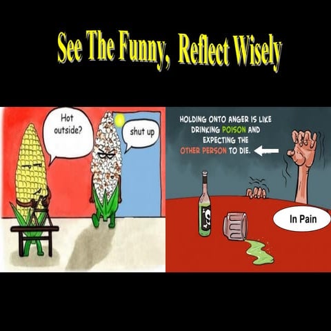 See The Funny, Reflect Wisely