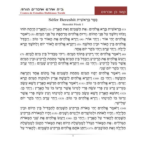 Sefer+bereshit