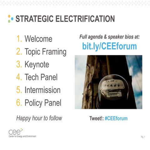 CEE's Strategic Electrification Forum