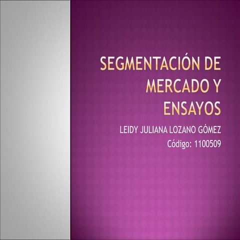 Segmentacion de Mercado y ensayos Leidy Lozano