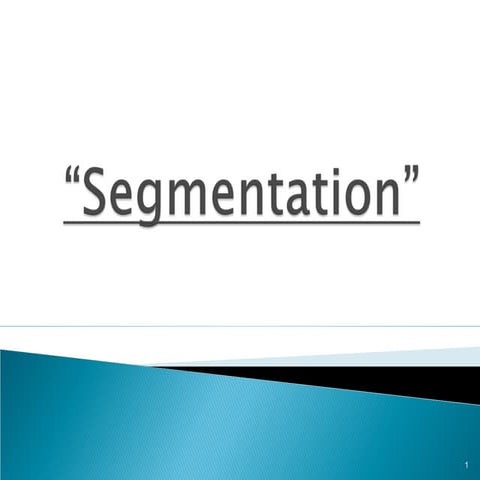 Segmentation