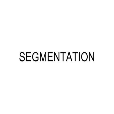 Segmentation