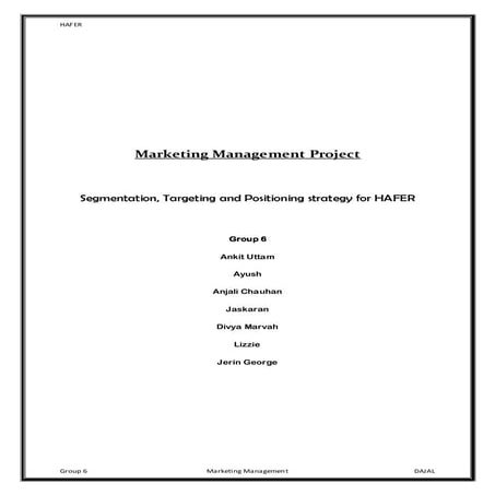 Segmentation, targeting and positioning strategy for HAFER