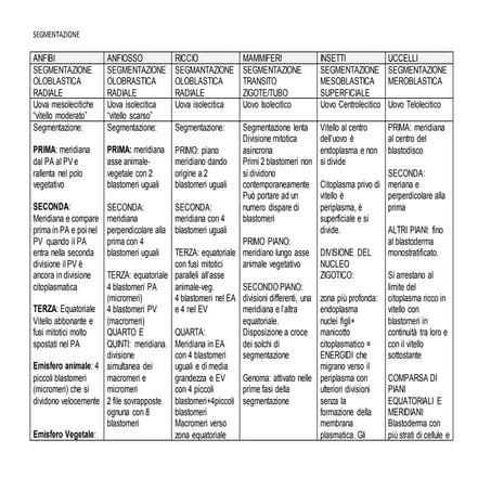 Biologia dello Sviluppo: Segmentazione | PPT