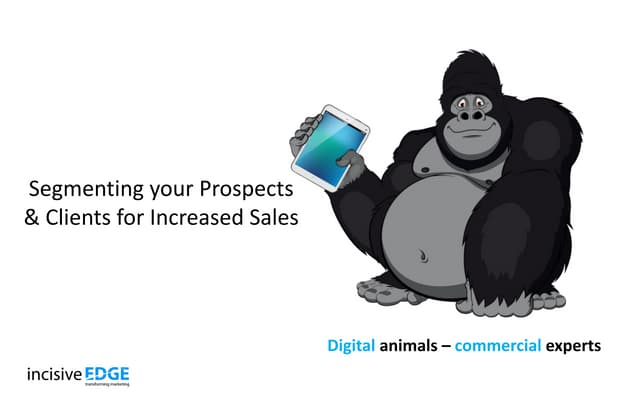 Segmenting prospects clients_incisive_edge