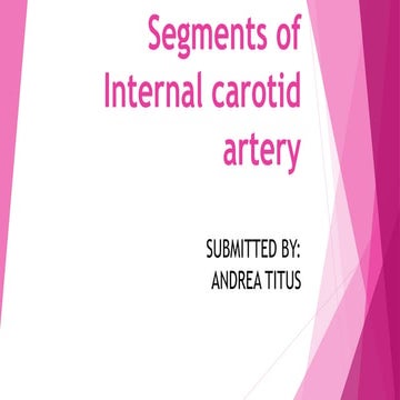 Segments of internal carotid artery