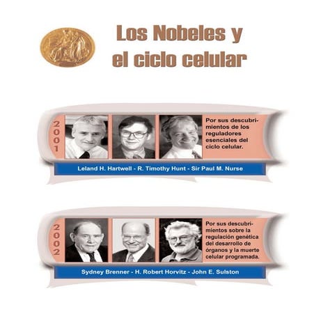 Ciclo celular II - Apoyo