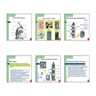 Técnicas de estudio en biología- Apoyo