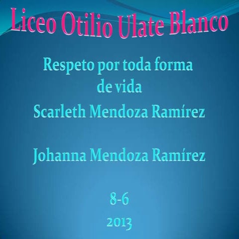 Segunda investigasion