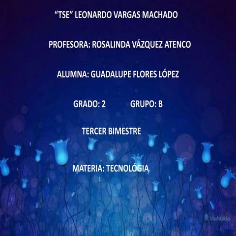 EL PAPEL DE LA TÉCNICA EN LA CONSERVACIÓN Y CUIDADO DE LA NATURALEZA