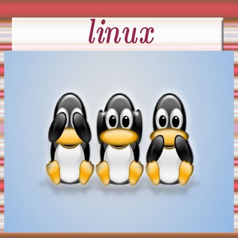 Segundo Trabajo, Presentacion Linux