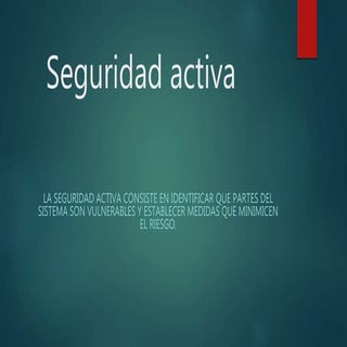 Seguridad activa