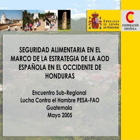 Seguridad alimentaria en el marco de la estrategia de la AOD Española en el Occidente de Honduras 05 2005