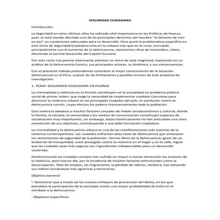 Seguridad ciudadan 
