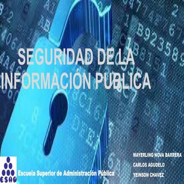 Seguridad de la informaciòn publica