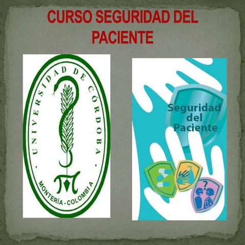 Seguridad del paciente walter campo