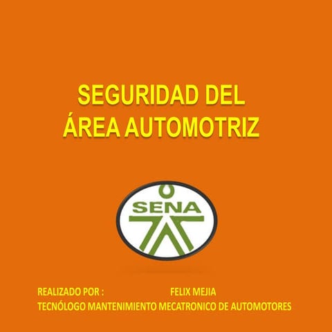 Seguridad del área automotriz