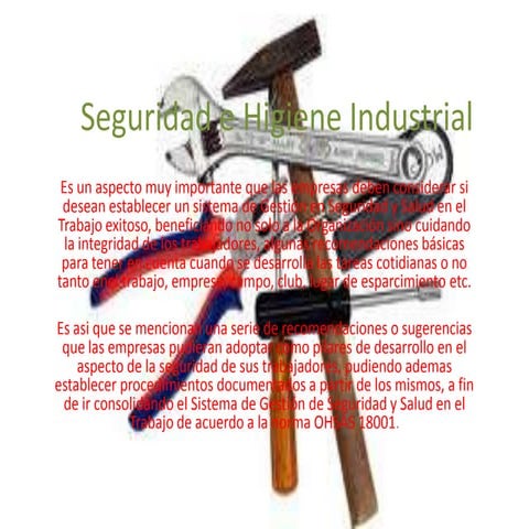 Higiene Y Seguridad Industrial Pptx