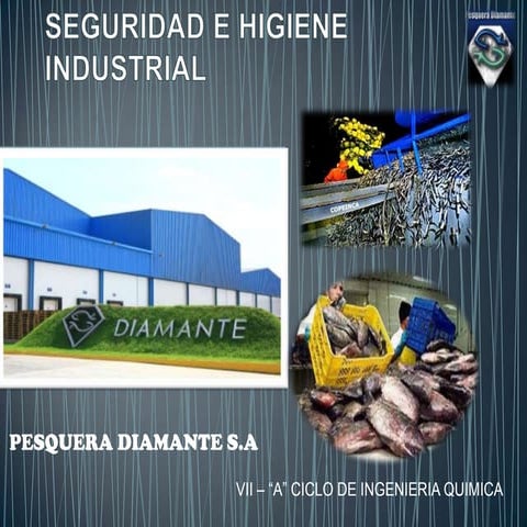 Seguridad e higiene industrial diapos