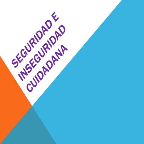 Seguridad e inseguridad  cuidadana