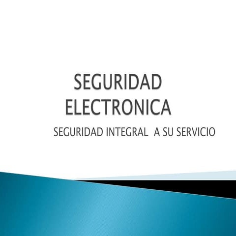 Seguridad electronica